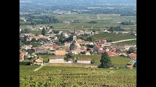 Discover Beaujolais