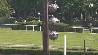 Vidéo de la course PMU PRIX WILD MONARCH (POULICHES)