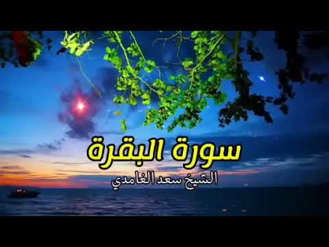 سورة البقرة 2025 بصوت الشيخ سعد الغامدي Surah Al Baqarah Saad Al Ghamdi 