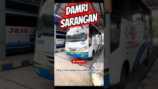 DAMRI sarangan jadwal keberangkatan dan idola kalau weekend #bis #shorts #busmania