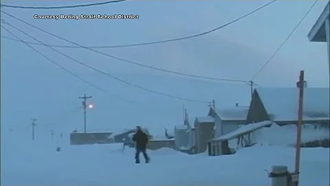 Polar bear attacks, kills baby and mom