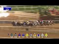 Race #5 - 08/01/23 - Reve By Azizi Handicap