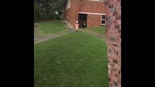 Kid rides bike down grass hill but dog gets in the way