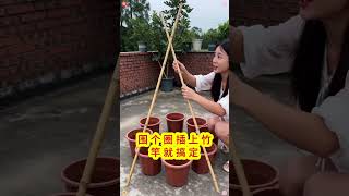 Agriculture #AgriculturalProduction #EmeraldMelon #Seeds