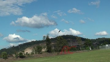 Freewing F-35 Lightning II JSF 70mm Thrust Vectoring RC EDF Jet Fighter with retracts