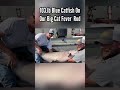 103.lb Blue Catfish!!