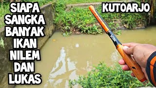 KALEN SEKECIL INI BANYAK IKAN NILEM DAN LUKAS NYA UMPAN RASBORA JASUKE | KUTOARJO PURWOREJO