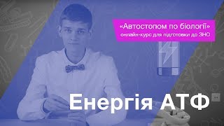 Енергія АТФ – Підготовка до ЗНО – Біологія