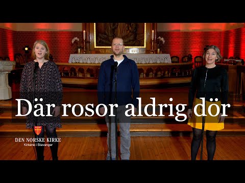 Video: Hvor er den sørgelige økse?