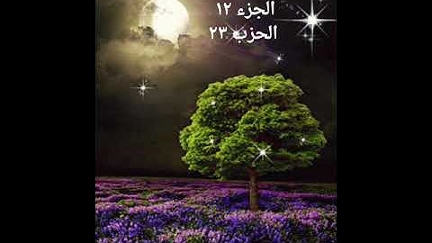 سورة هود الجزء ١٢ الحزب ٢٣