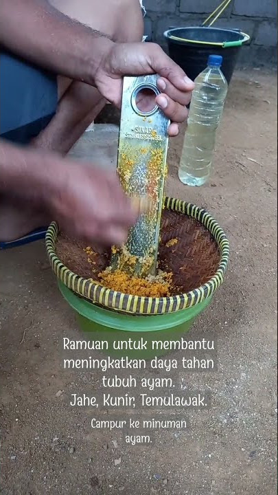 Jamu Ayam Petelur | Jamu Tradisional Ayam Petelur | Ramuan untuk Daya tahan tubuh ayam petelur |