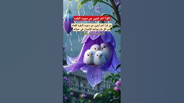 ١ اقرا اخر ايتين من سوره البقره #بدر_المشاري