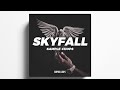 FREE SAMPLE CHOPS & LOOPS PACK "SKYFALL"