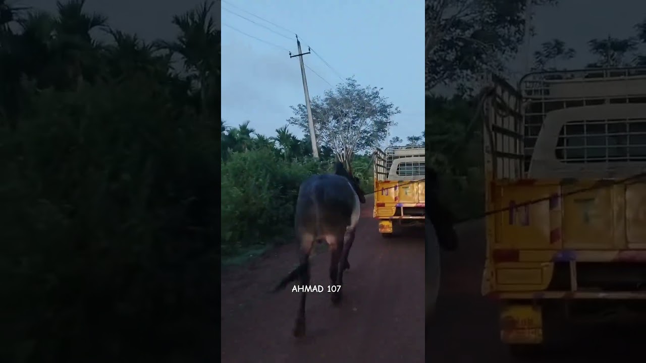 😎 N T C SARKAR ❤️‍🔥 