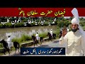Horse Tent Pegging Club Hafizabad || Best Horse For Tent Pegging and training information | Haq Baho