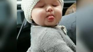 Qeweydi Hamıdan Qeweydi