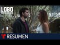 Resumen episodios 49 al 52 de Lobo, Morir Matando | Telemundo