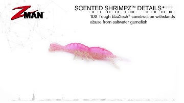 2016 Project Z Breaking Down The Bait Scented ShrimpZ