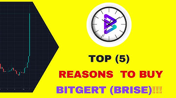 5 REASONS WHY THE SHIBA INU COMMUNITY IS STILL ACCUMULATING BITGERT (BRISE)!!!