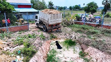 Great skill bulldozer operator pushes soil filling land with dump trucks