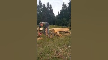 Homemade Alaskan sawmill #shorts #homemade #homestead #woodworking #diy #upcycling