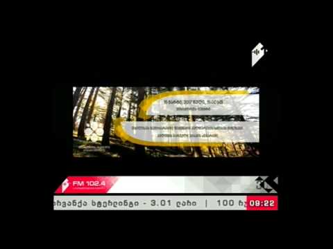 \"პიკის საათი\" 16.03.17 თბილისის შემოგარენში ფიჭვნარი კულტურების ხმობის მიზეზები