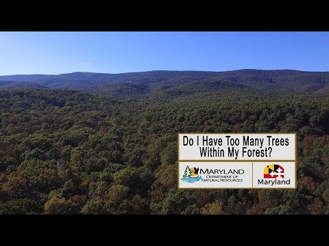 Video: Heb ik een tpo op mijn bomen?