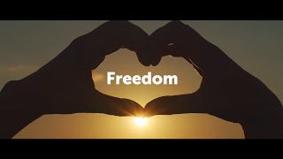 Airlink | Freedom Manifesto