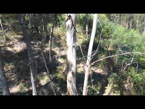 Terreno de Pinhal, Vila Fonche, Arcos de Valdevez