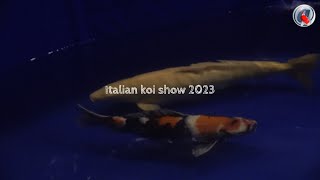 Italian koi show 2023 by Aquatechnobel 575 views 11 months ago 9 minutes, 6 seconds