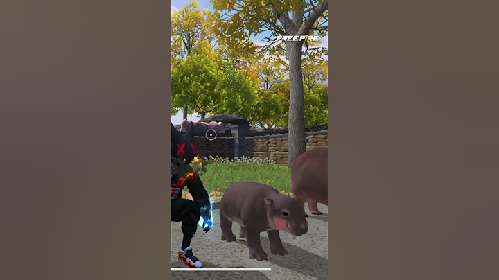หนีไปหาหมูเด้งในฟีฟายได้แล้ววันนี้ 🦛 | Garena Free Fire