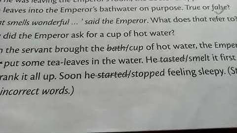 Pankaj Jha English class 4.Ch.3.Question and answers.