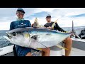 Monster Yellowfin Tuna!!