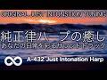脳が静まり、心が凪ぐ｜純正律ハープが描く、一切の雑音を消し去る純白の休息空間