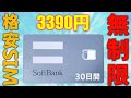 クレカ不要 3000円で容量無制限 SoftBank プリペイド 格安SIM (30日間) をレビュー