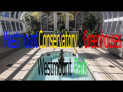 Video: Inside lub Westmount Conservatory thiab tsev cog khoom