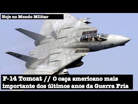 F-14 Tomcat - O caça americano mais importante dos últimos anos da Guerra Fria