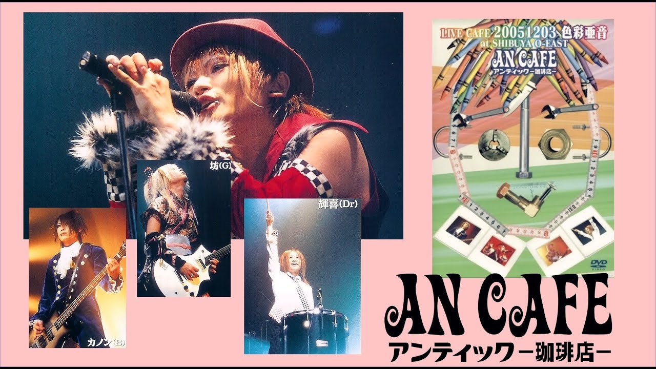 アンティック珈琲店　LIVE CAFE 15th  DVD