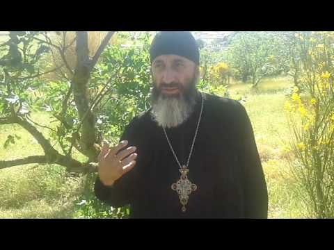 დეკანოზი გიორგი სხირტლაძე   მარხვა ადამიანის გაძლიერებისთვის