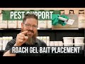 Where do You Put Roach Bait? | Pest Support