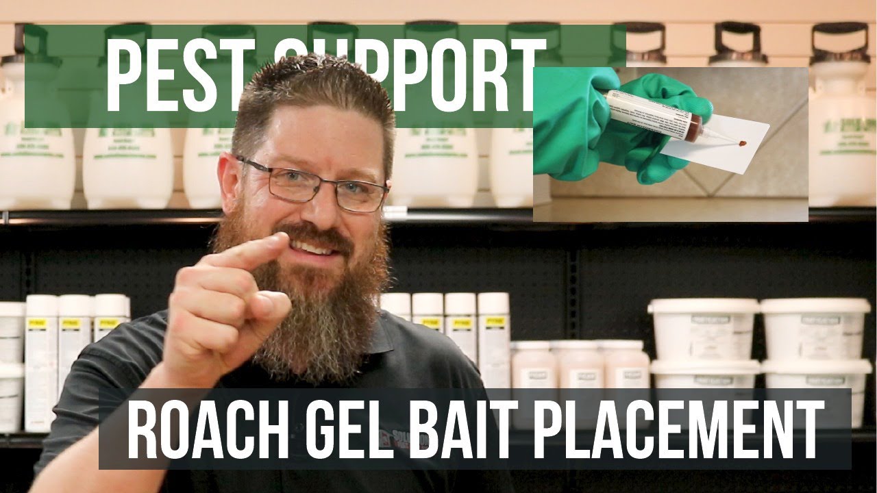 Where do You Put Roach Bait? | Pest Support - YouTube