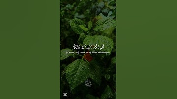 أَلَمْ تَكُنْ آيَاتِي تُتْلَىٰ عَلَيْكُمْ فَكُنتُم بِهَا تُكَذِّبُونَ (القارئ: الشيخ ياسر الدوسري)