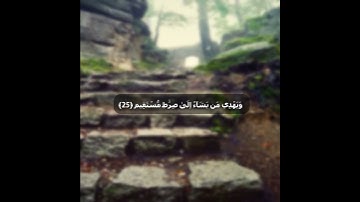 تلاوة هادئة من سورة يونس....( وَاللَّهُ يَدْعُو إِلَىٰ دَارِ السَّلَامِ...) القارئ عبدالرحمن الحمادي