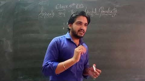 Class 5th EVS Ch. 11 Animals and their products |Padhai Jaruri|