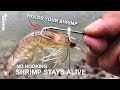 GENIUS OR GARBAGE? Specialty Live Shrimp Holder Hooks