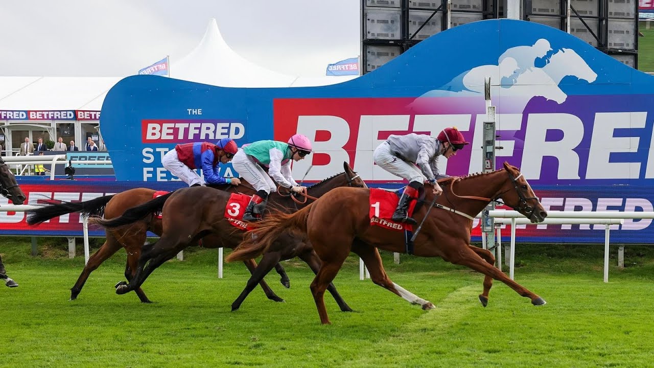 AYLIN wins the 2025 Betfred May Hill Stakes Gr.2