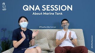 QNA Session about Marine Tank with Yoshua (Co-owner Bali Reef Aquarium)