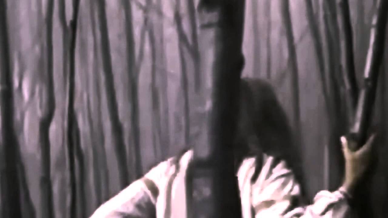 Sonne Hagal ~ Love Is A Sickness