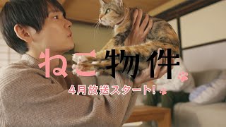 古川雄輝＆細田佳央太ら出演　イケメン×猫の“癒やしドラマ”「ねこ物件」予告＆SPダイジェスト