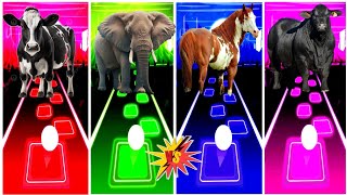 Funny Cow 🆚 Funny Elephant 🆚 Funny Horse 🆚 Funny Bulls.🌟 Best Edm Rush Gameplay ✅